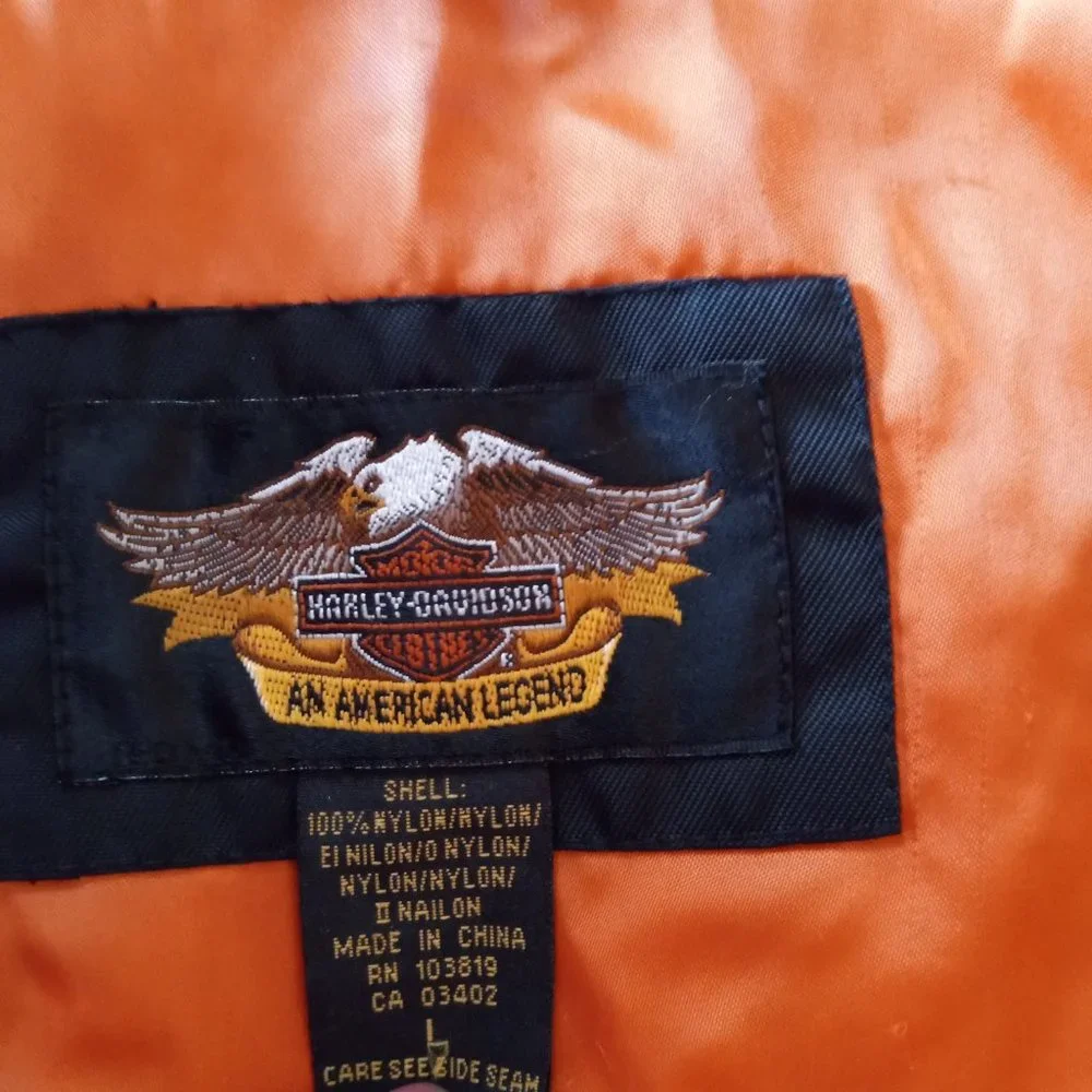 Harley Davidson Racing - Picture 4 of 5